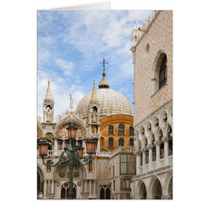 Venetië, Veneto, Italië - Vogels worden op een