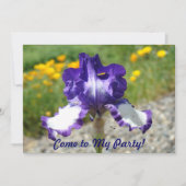 Venez à ma partie ! Invitations d'amusement de (Devant)