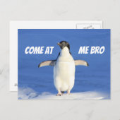 Venez à Me Bro Meme Carte postale Penguin (Devant / Derrière)