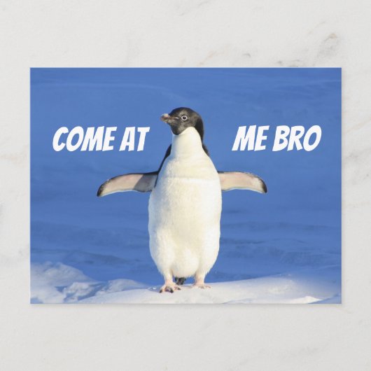 Venez à Me Bro Meme Carte postale Penguin (Devant)