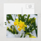 Venez Au Printemps De Penser À Votre Carte Postale (Devant / Derrière)