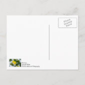 Venez Au Printemps De Penser À Votre Carte Postale (Dos)