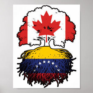 Venezolaanse Canadese Canada - boomstammen Poster
