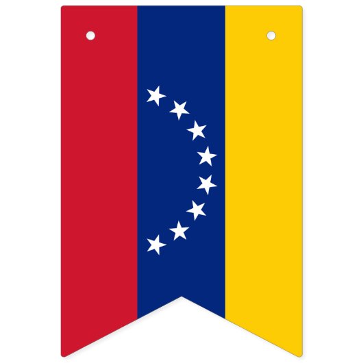 Venezolaanse vlag en Venezolaanse banners/bruiloft Vlaggetjes (Eerste vlag)