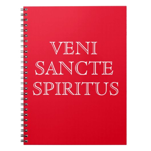 Veni Sancte Spiritus Prayer Journal Notitieboek (Voorkant)