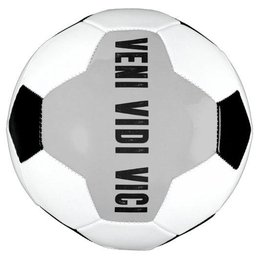 Veni vidi vici (Tourné)