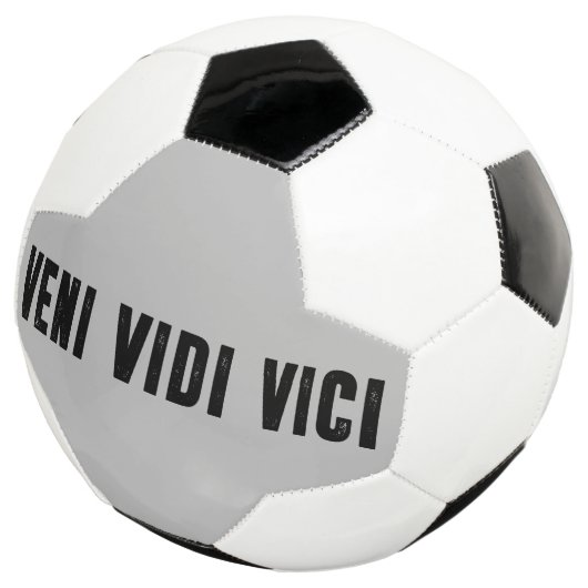 Veni vidi vici (3/4)