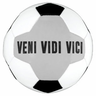 Veni vidi vici
