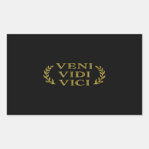 Veni Vidi Vici Funny Game Winner Rechthoekige Sticker
