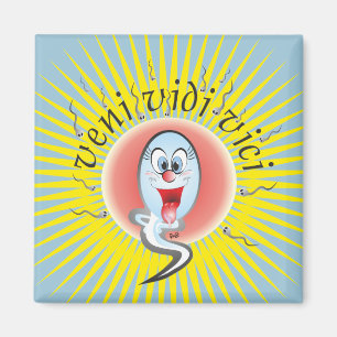 veni vidi vici Magnet Magneet