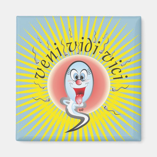 veni vidi vici Magnet Magneet (Voorkant)