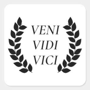 Veni Vidi Vici Vierkante Sticker
