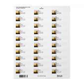 Venice Beach California Sunset Souvenir Étiquette (Feuille entière)