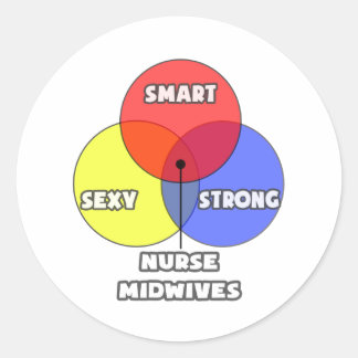 Venn-diagram .. Verpleegkundige Verloskundigen Ronde Sticker