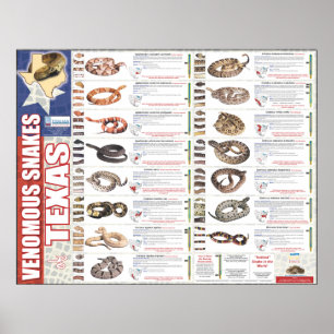 Venomeuze slangen van Texas Poser door NNTRC Poster