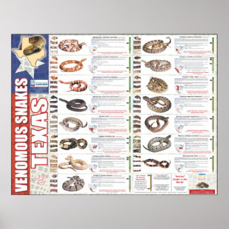 Venomeuze slangen van Texas Poser door NNTRC Poster