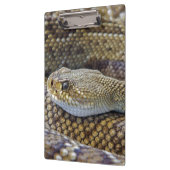 Venomous Rattle Snake Klembord (Links)
