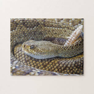 Venomous Rattle Snake Legpuzzel