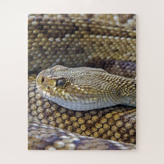 Venomous Rattle Snake Legpuzzel (Verticaal)
