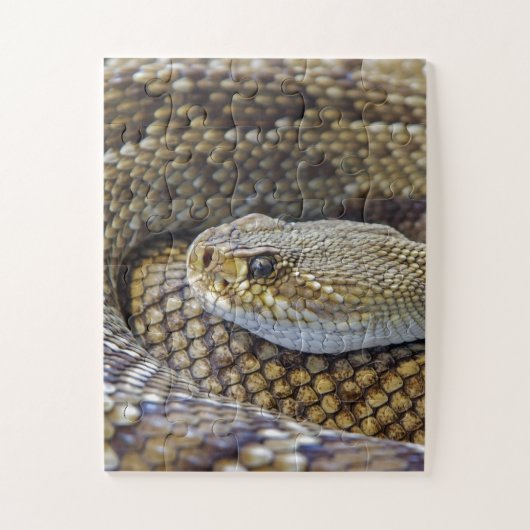 Venomous Rattle Snake Legpuzzel (Verticaal)