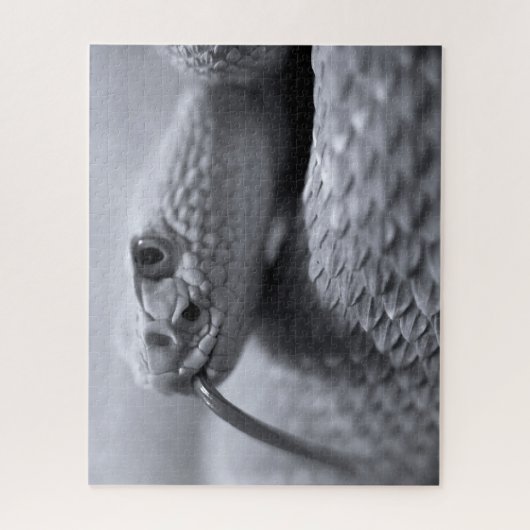 Venomous Rattlesnake in Monochrome, Jigzaag Puzzle Legpuzzel (Verticaal)