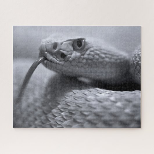 Venomous Rattlesnake in Monochrome, Jigzaag Puzzle Legpuzzel (Horizontaal)