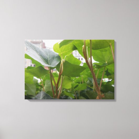 Venster Canvas Afdruk (Voorkant)