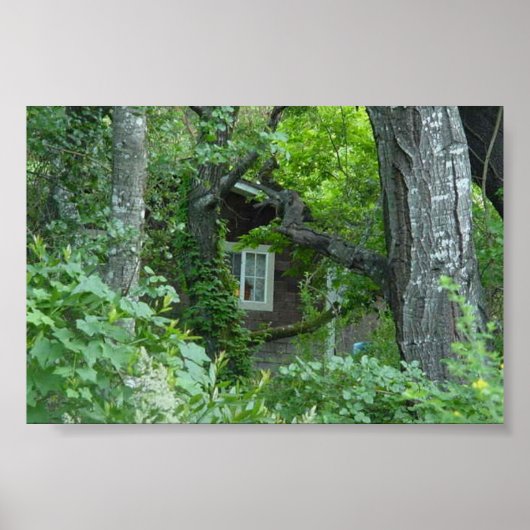 Venster natuur poster (Voorkant)