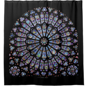 VENSTER NOTRE DAME CATHEDRAL ROOS DOUCHEGORDIJN