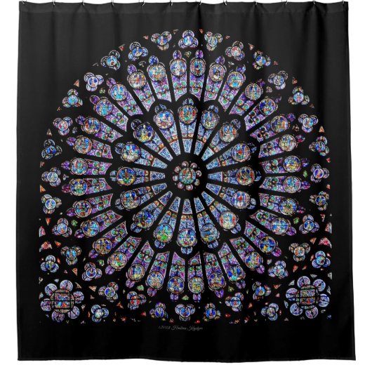 VENSTER NOTRE DAME CATHEDRAL ROOS DOUCHEGORDIJN (Voorkant)