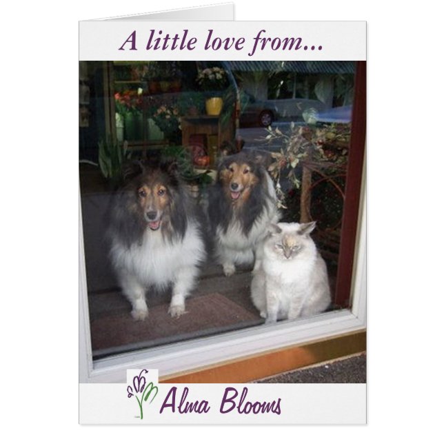 Venster uitzicht (Voorkant)