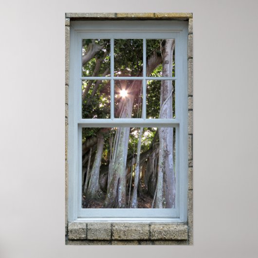 Venster uitzicht Banyan tree Starburst Print (Voorkant)