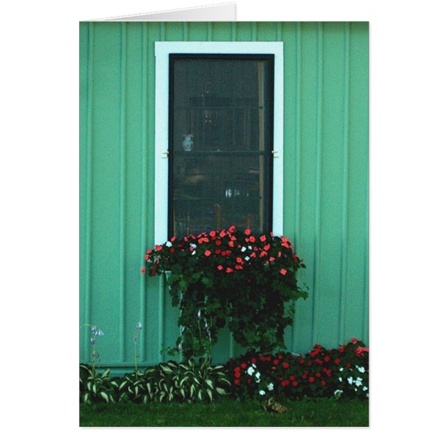 Venster vak van impatiënten (Voorkant)