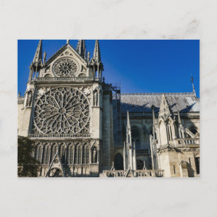 Venster Zuid-Roos buiten Notre Dame de Paris Briefkaart