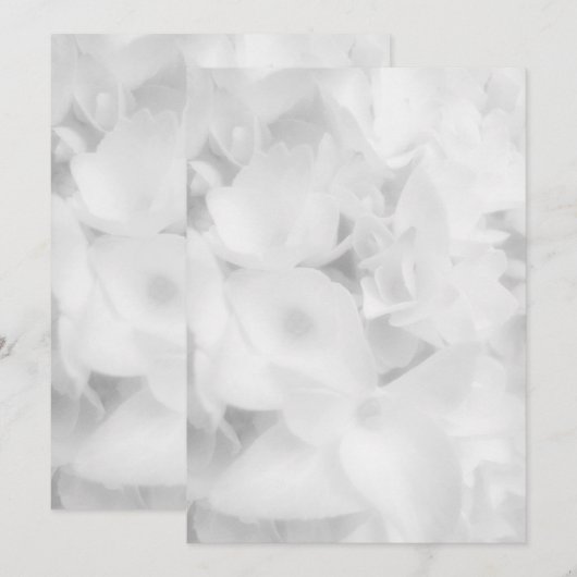 Ventilateur floral blanc papier du programme (Devant / Derrière)