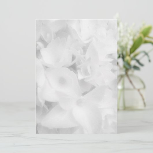 Ventilateur floral blanc papier du programme (Debout devant)