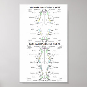 Ventilator en tandheelkundige formules poster