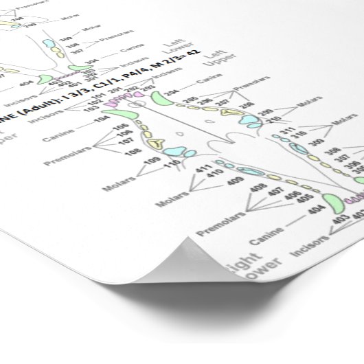 Ventilator en tandheelkundige formules poster