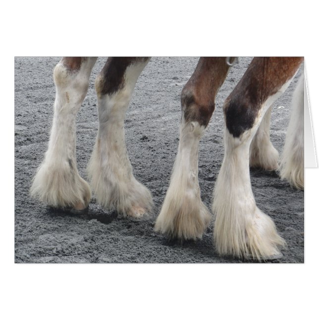 Ventilator (leeg binnen) (Voorkant Horizontaal)