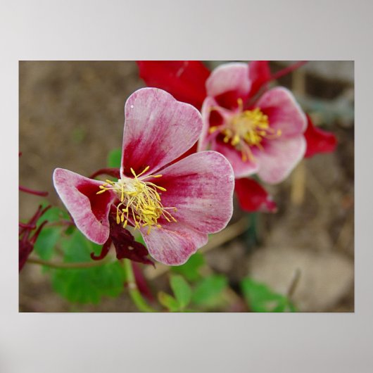 ventilator poster (Voorkant)