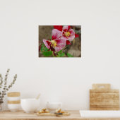 ventilator poster (Keuken)