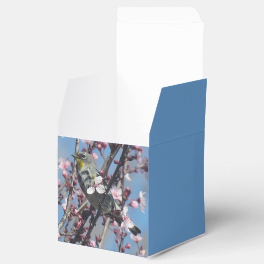 Ventilator - Sparrow in Plum Tree Bedankdoosjes (Geopend)