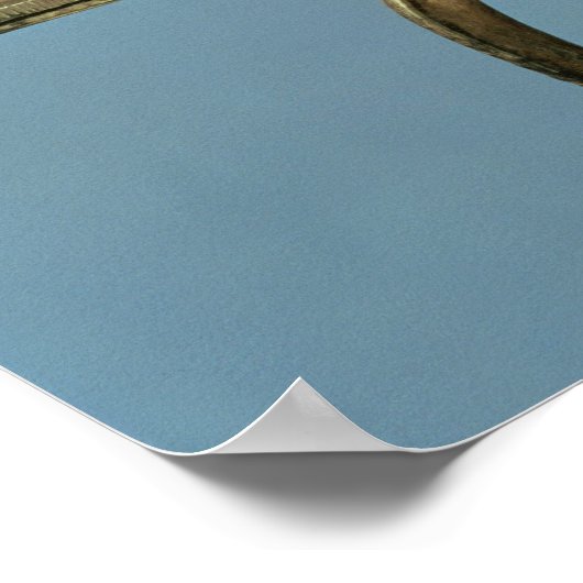 Ventilator van struisvogels uit de tombe van poster (Hoek)