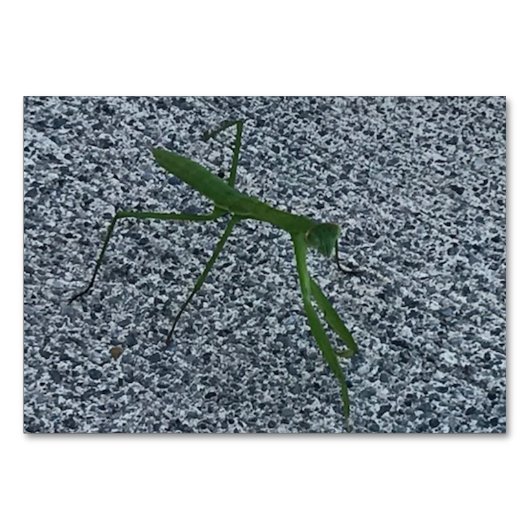 Ventilatoren, bidsprinkhaankreeften, leeskaarten kaart (Voorkant)