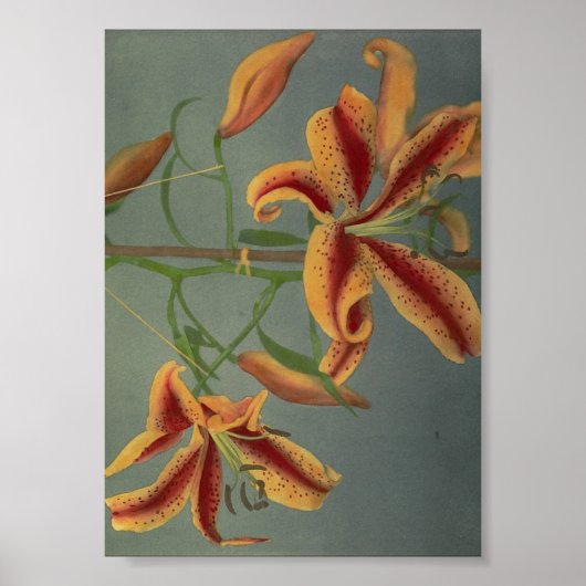  ventilatorfoto poster (Voorkant)