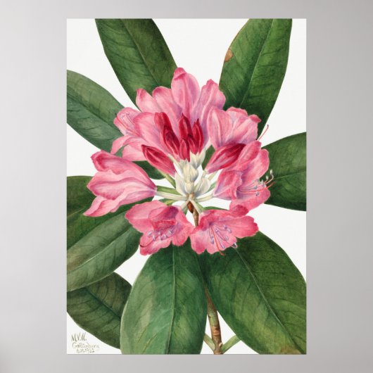 ventilatorillustratie poster (Voorkant)