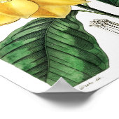 ventilatorillustratie poster (Hoek)