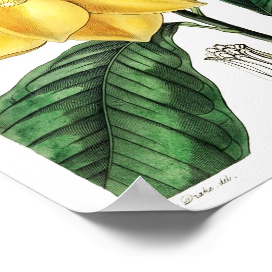 ventilatorillustratie poster (Hoek)