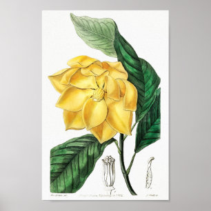 ventilatorillustratie poster