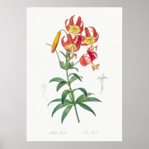 ventilatorillustratie poster